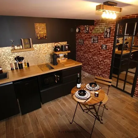 Privatize 3 Lofts 300 M2 & Games Bar By Loft Urban * 생테티엔